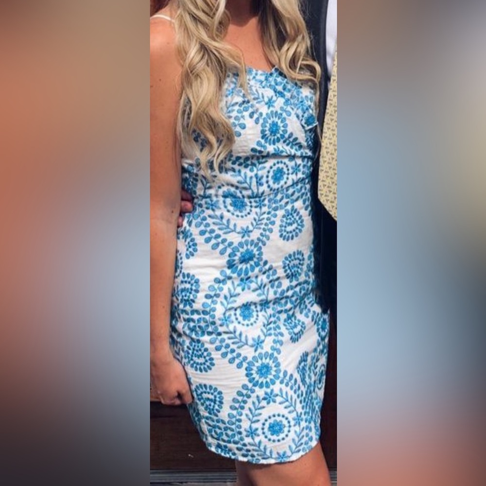 Vici embroidered dress